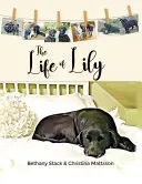 Život Lily - The Life of Lily