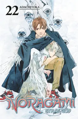 Noragami: Bludný bůh, svazek 22 - Noragami: Stray God 22