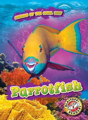 Papoušek - Parrotfish
