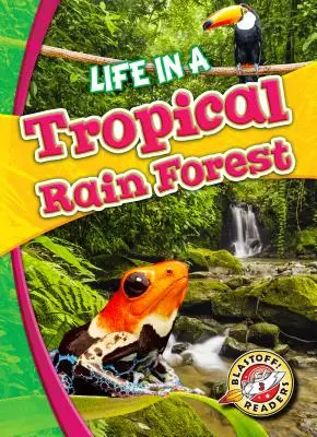 Život v tropickém deštném pralese - Life in a Tropical Rain Forest