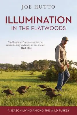 Osvícení v lesích Flatwoods: Sezóna života mezi divokými krocany - Illumination in the Flatwoods: A Season Living Among the Wild Turkey