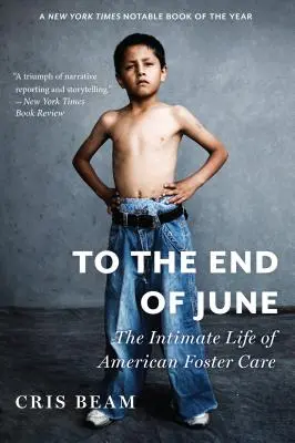 Do konce června: Intimní život americké pěstounské péče - To the End of June: The Intimate Life of American Foster Care