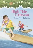 Příliv a odliv na Havaji - High Tide in Hawaii