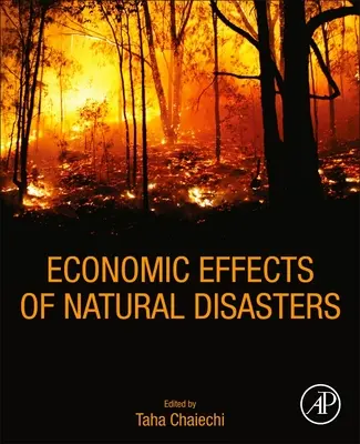 Ekonomické dopady přírodních katastrof: Teoretické základy, metody a nástroje. - Economic Effects of Natural Disasters: Theoretical Foundations, Methods, and Tools