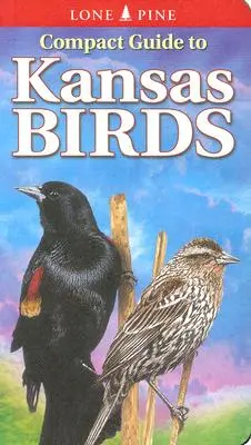 Kompaktní průvodce ptáky Kansasu - Compact Guide to Kansas Birds