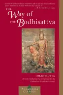 Cesta bódhisattvy: Překlad Bódhičarjávatary - The Way of the Bodhisattva: A Translation of the Bodhicharyavatara