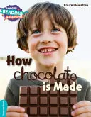 Jak se dělá čokoláda Tyrkysová páska - How Chocolate Is Made Turquoise Band