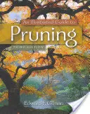 Ilustrovaný průvodce prořezáváním - An Illustrated Guide to Pruning