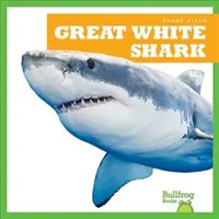 Velký bílý žralok - Great White Shark