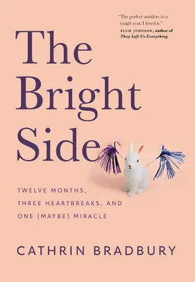 Světlé stránky: Dvanáct měsíců, tři zlomené srdce a jeden (možná) zázrak - The Bright Side: Twelve Months, Three Heartbreaks, and One (Maybe) Miracle