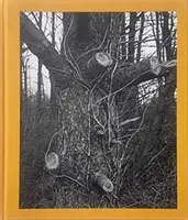 Tim Carpenter: Vánoce, Bucks Pond Road - Tim Carpenter: Christmas Day, Bucks Pond Road