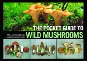 Kapesní průvodce divokými houbami: užitečné rady pro houbaření v terénu - The Pocket Guide to Wild Mushrooms: Helpful Tips for Mushrooming in the Field