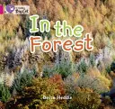 V lese - In the Forest