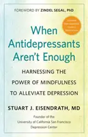 Když antidepresiva nestačí: Využití síly všímavosti ke zmírnění deprese - When Antidepressants Aren't Enough: Harnessing the Power of Mindfulness to Alleviate Depression