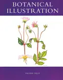 Botanická ilustrace - Botanical Illustration