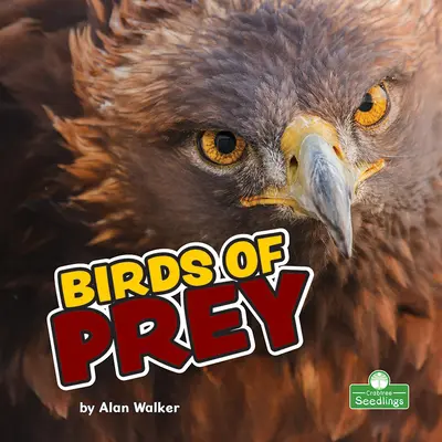 Draví ptáci - Birds of Prey