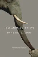 Jak zvířata truchlí - How Animals Grieve