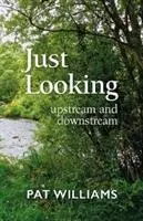 Jen se dívat - proti proudu a po proudu - Just Looking - upstream and downstream