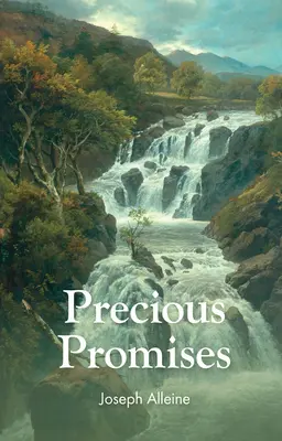 Drahocenné sliby - Precious Promises