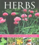 Bylinky - Herbs
