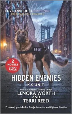 Skrytí nepřátelé - Hidden Enemies