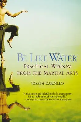 Buď jako voda: Praktická moudrost z bojových umění - Be Like Water: Practical Wisdom from the Martial Arts