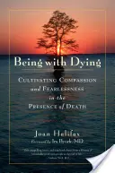 Být s umíráním: Vychovávat soucit a nebojácnost v přítomnosti smrti. - Being with Dying: Cultivating Compassion and Fearlessness in the Presence of Death