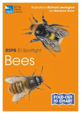 Rspb Id Spotlight - Včely - Rspb Id Spotlight - Bees