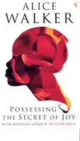 Ovládání tajemství radosti - Possessing The Secret Of Joy