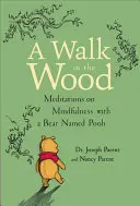 Procházka lesem: Meditace o všímavosti s medvídkem Pú - A Walk in the Wood: Meditations on Mindfulness with a Bear Named Pooh