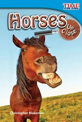 Koně zblízka - Horses Up Close