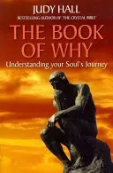 Kniha Proč - The Book of Why