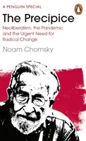 Propast - Neoliberalismus, pandemie a naléhavá potřeba radikální změny - Precipice - Neoliberalism, the Pandemic and the Urgent Need for Radical Change