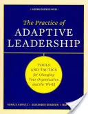 Praxe adaptivního vedení: Nástroje a taktiky, jak změnit organizaci i svět. - The Practice of Adaptive Leadership: Tools and Tactics for Changing Your Organization and the World