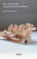Mořskému tvorovi dorůstá celé tělo - Sea Creature Regrows Entire Body