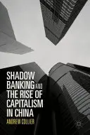 Stínové bankovnictví a vzestup kapitalismu v Číně - Shadow Banking and the Rise of Capitalism in China