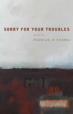 Omlouváme se za vaše problémy - Sorry for Your Troubles