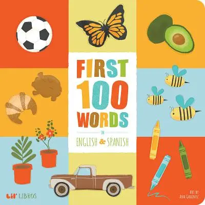 Prvních 100 slov v angličtině a španělštině - First 100 Words In English And Spanish