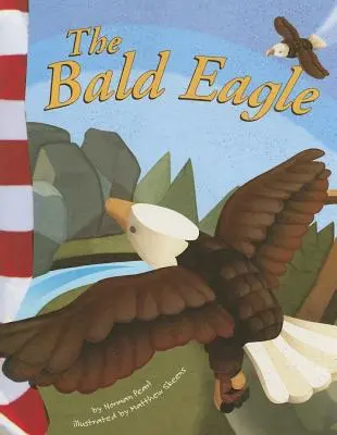 Orel bělohlavý - The Bald Eagle