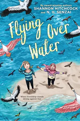 Létání nad vodou - Flying Over Water