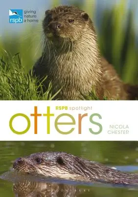 Rspb Spotlight: Vydry - Rspb Spotlight: Otters