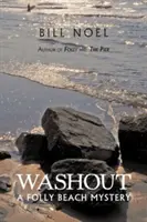 Vyplavení: Záhada Folly Beach - Washout: A Folly Beach Mystery