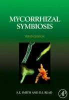 Mykorhizní symbióza - Mycorrhizal Symbiosis