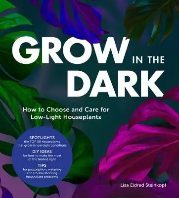 Pěstování ve tmě: Jak vybírat pokojové rostliny se slabým osvětlením a pečovat o ně - Grow in the Dark: How to Choose and Care for Low-Light Houseplants