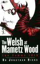 Velšané v Mametz Wood: Somma 1916 - The Welsh at Mametz Wood: The Somme 1916
