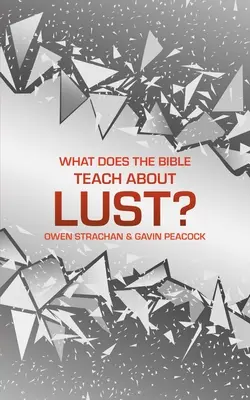 Co učí Bible o chtíči?: Krátká kniha o touze - What Does the Bible Teach about Lust?: A Short Book on Desire