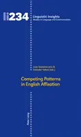 Konkurenční vzory v anglické afixaci - Competing Patterns in English Affixation