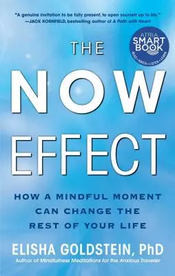 The Now Effect: How a Mindful Moment Can Change the Rest of Your Life (Efekt přítomnosti: Jak může všímavý okamžik změnit zbytek vašeho života) - The Now Effect: How a Mindful Moment Can Change the Rest of Your Life