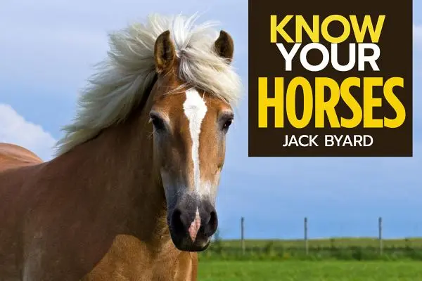 Poznejte své koně - Know Your Horses