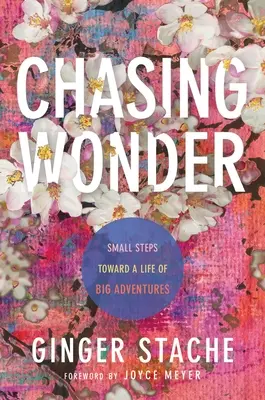 Honba za zázrakem: Malé kroky k životu plnému velkých dobrodružství. - Chasing Wonder: Small Steps Toward a Life of Big Adventures